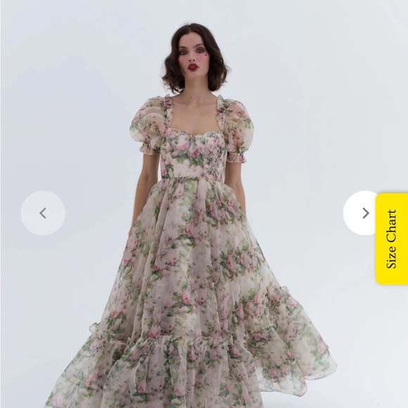 Selkie Garden Roses Ritz Dress NWT XS - Picture 5 of 5